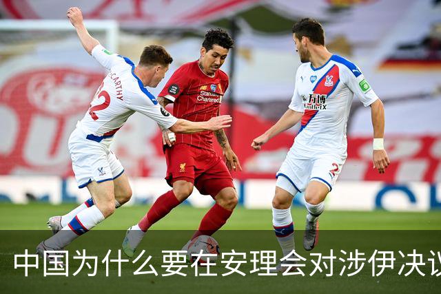 中国为什么要在安理会对涉伊决议投反对票